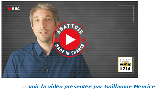 Vidéo présentée par Guillaume Meurice